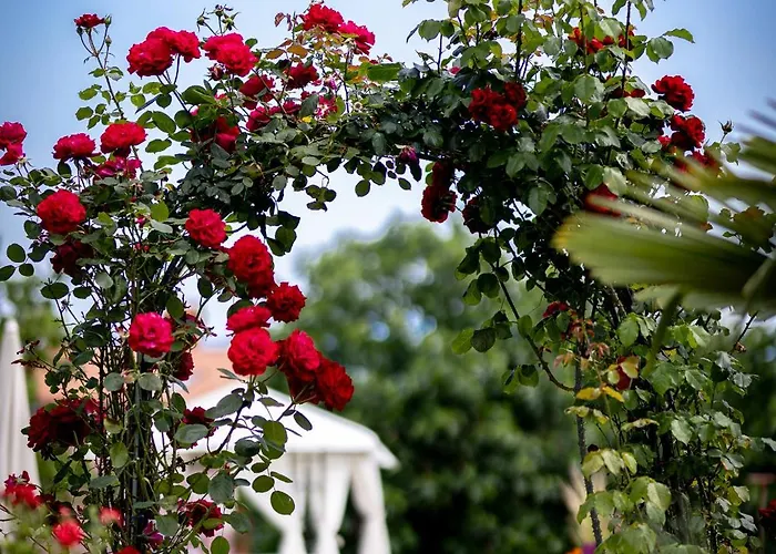 招待所 纳达别墅旅馆